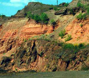 Bundsandstein in der Abbauwand